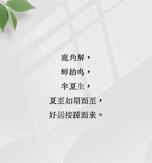 夏至公司发的文案短句子好句有哪些？（《夏至花开：墨色流年》）