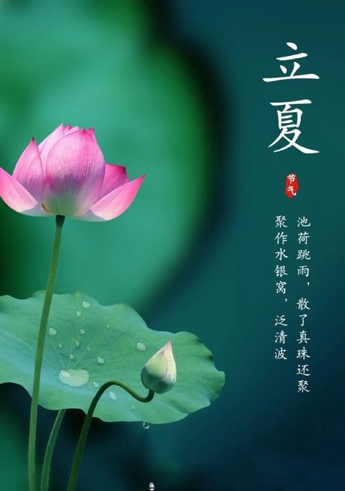 立夏风景如何用唯美句子描写？（《立夏风景画·风雅颂》）