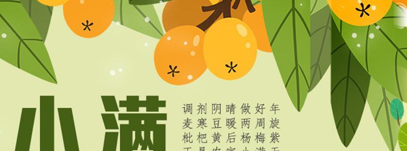 小满枇杷半坡黄什么意思（《枇杷黄时小满情》）
