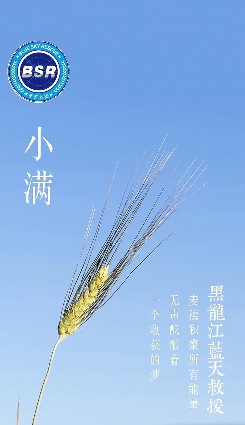 有关小满用一种修辞概括句子的句子怎么写（前言介绍：）