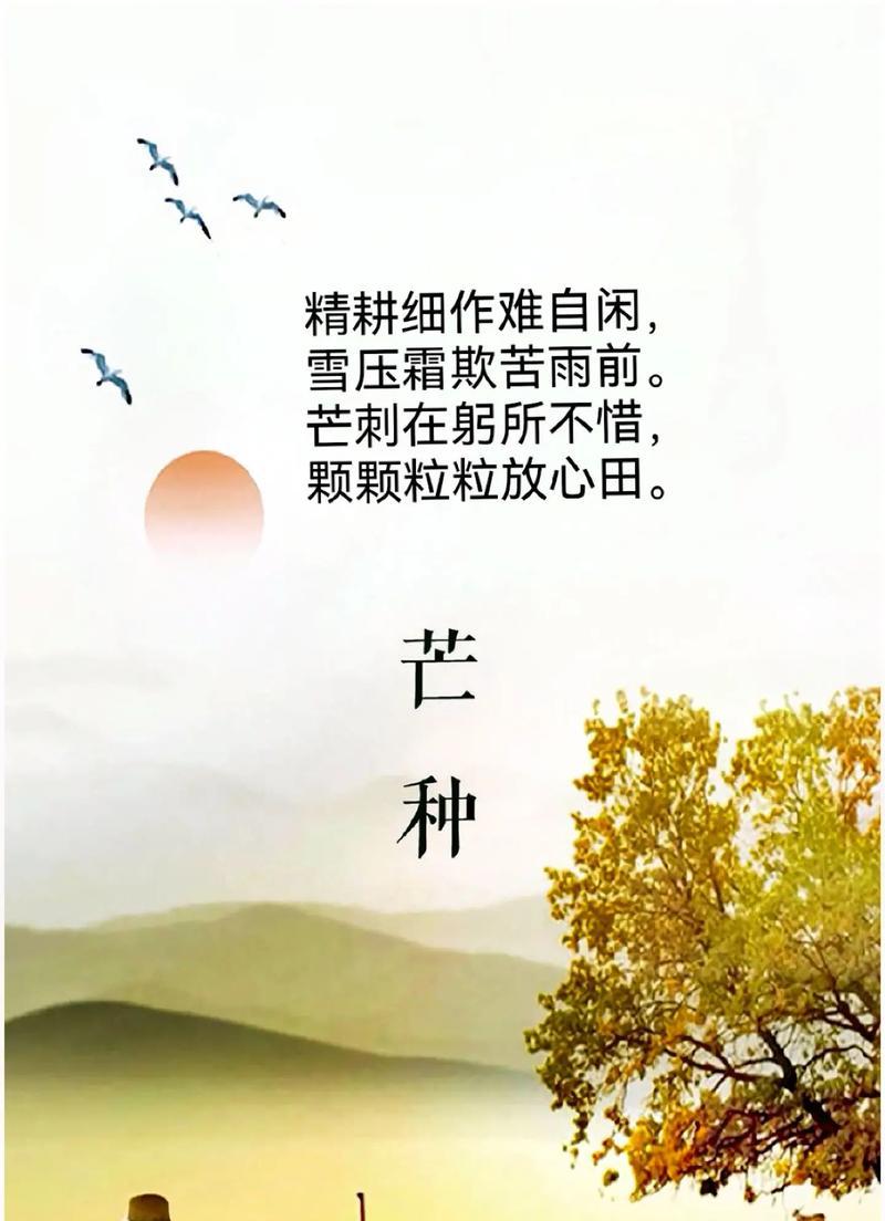 芒种节气语句（《芒种时节，耕云播雨话丰年》）