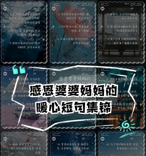 母亲节婆婆的祝福语怎么写（《慈恩如水）