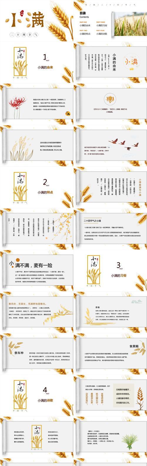 描写小满麦穗的句子唯美好句有哪些？（《麦香盈袖·小满时》）