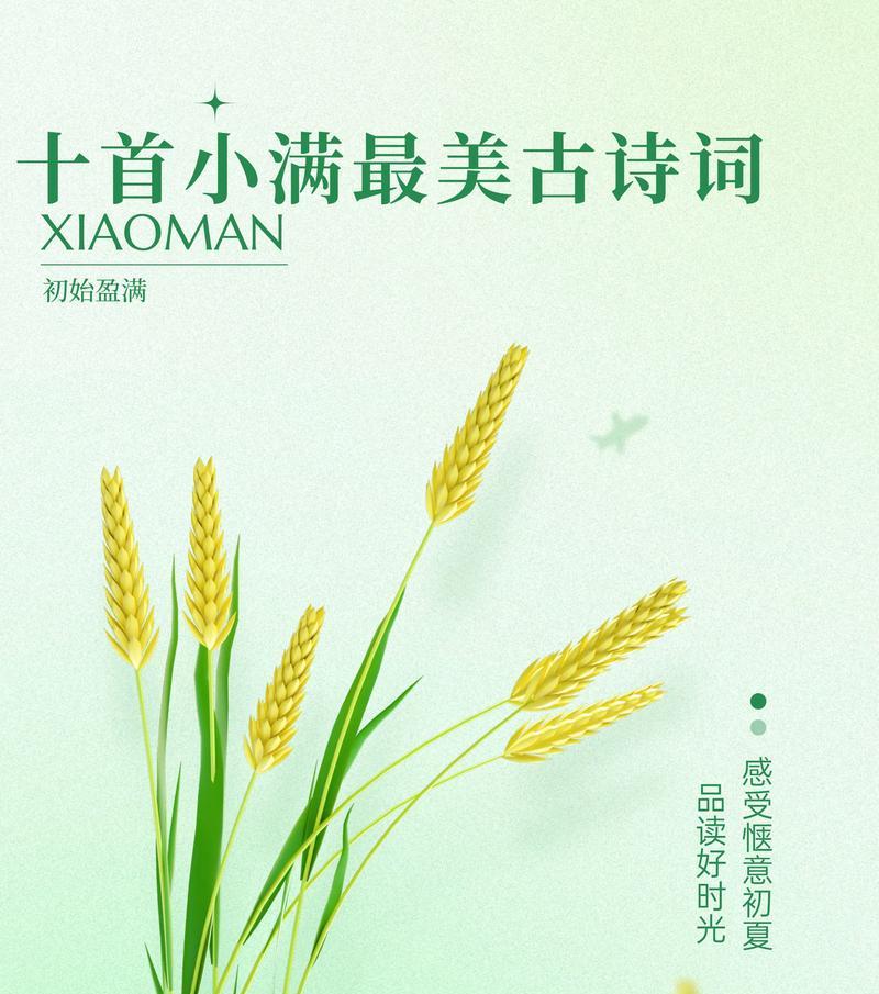 描写小满麦穗的句子唯美好句有哪些？（《麦香盈袖·小满时》）
