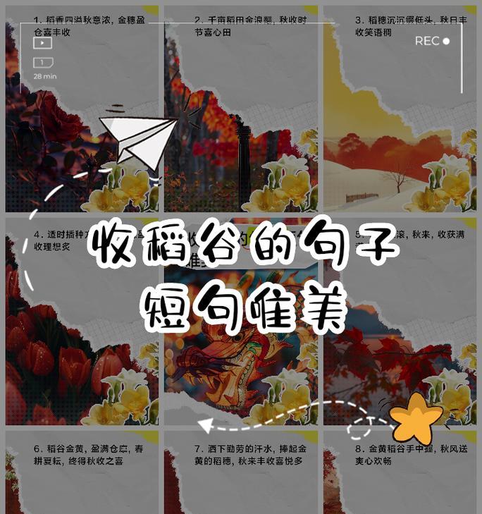 描写小满麦穗的句子唯美好句有哪些？（《麦香盈袖·小满时》）