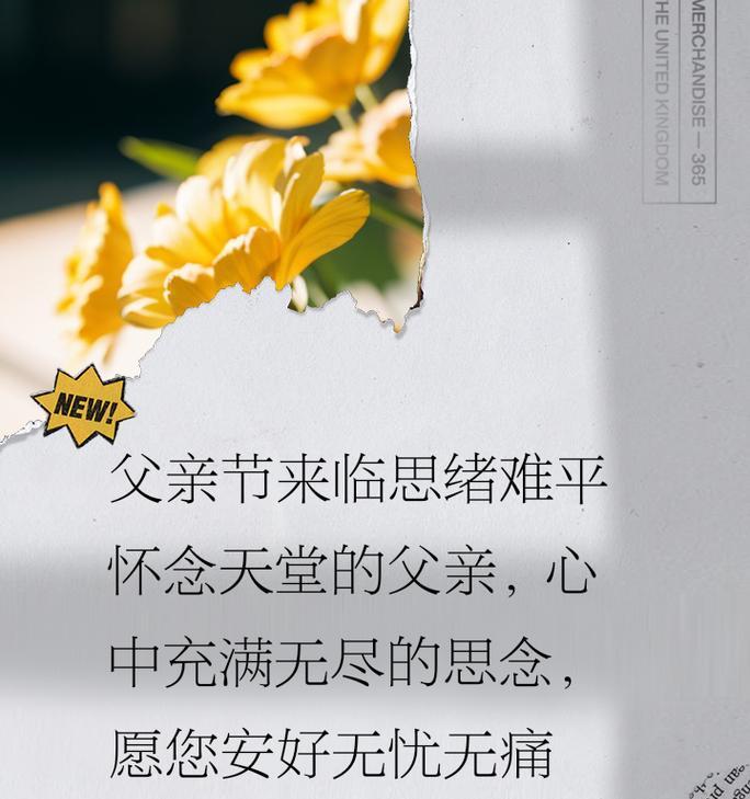 已逝父亲节如何表达哀思？（《怀念如斯，父恩常照》）