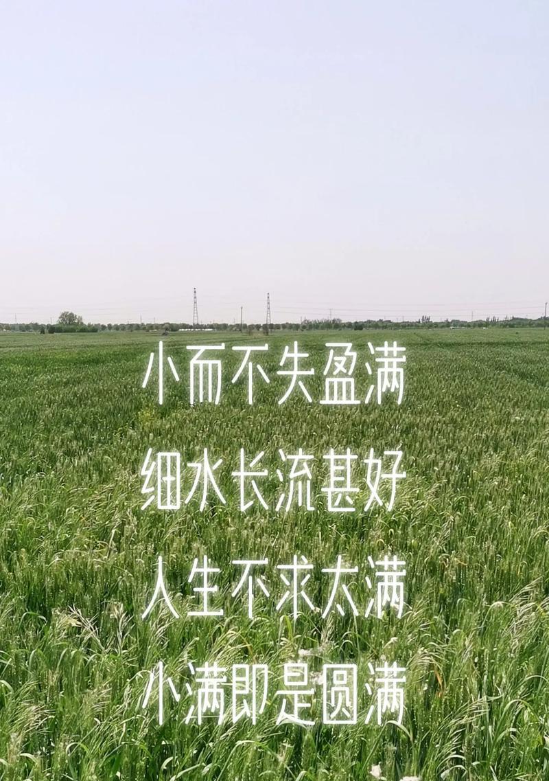小满未满,恰到好处!寓意（生活之美的盈亏哲学》）