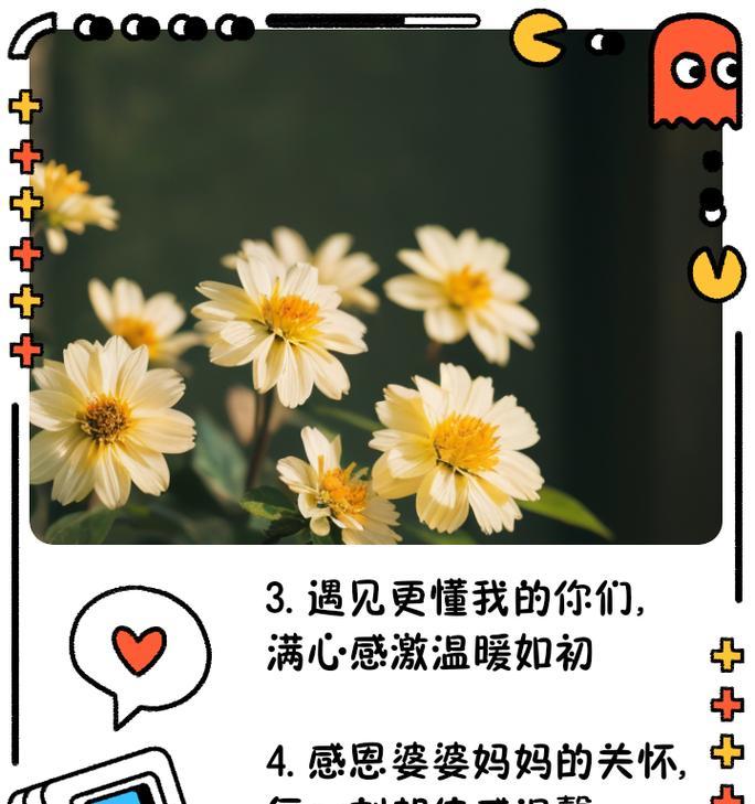 母亲节如何表达对婆婆的感激？（《慈心孝行：致敬我辈慈母》）