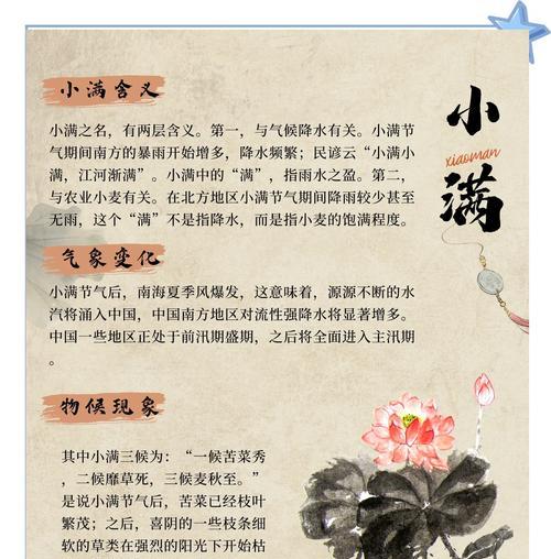 描写小满的环境的句子有哪些好句？（《小满映画：初夏之韵》）