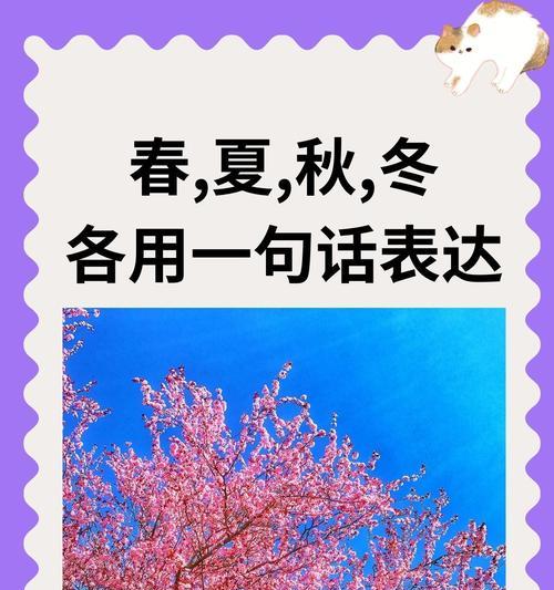 春去秋来 夏尽冬至是什么意思（《四时轮转：春去夏至至秋冬之唯美叙怀》）