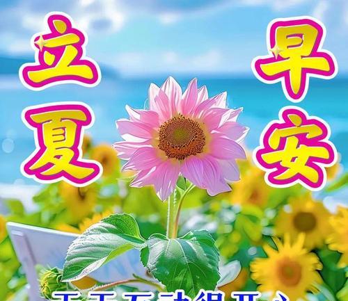 立夏搞笑祝福语好句有哪些？（前言：）