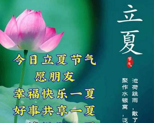 立夏时节如何用好句祝福情人？（《立夏寄情：四季更迭，唯爱不变》）