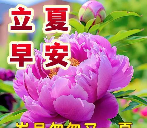 立夏经典祝福语好句有哪些？（立夏轻吟：古风雅韵，岁月静好）