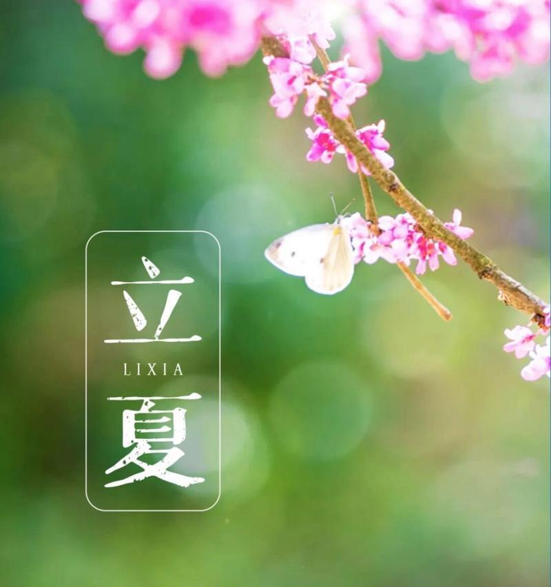 立夏景区文案怎么写？（《立夏：唯美四时景，传统雅韵生》）