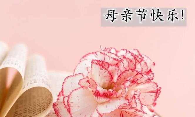 有关母亲节鲜花祝福语图文的句子有哪些（《花语传情，母恩如山——母亲节献礼》）
