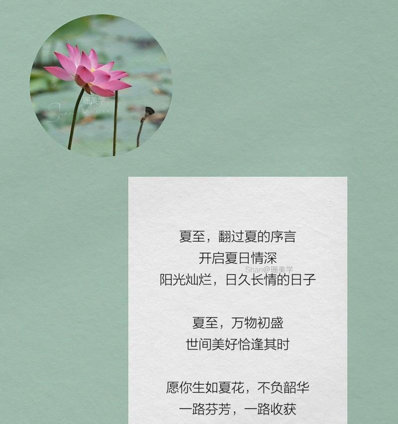 夏至生日怎么发朋友圈（《夏至盛景：生意繁荣之诗意颂》）