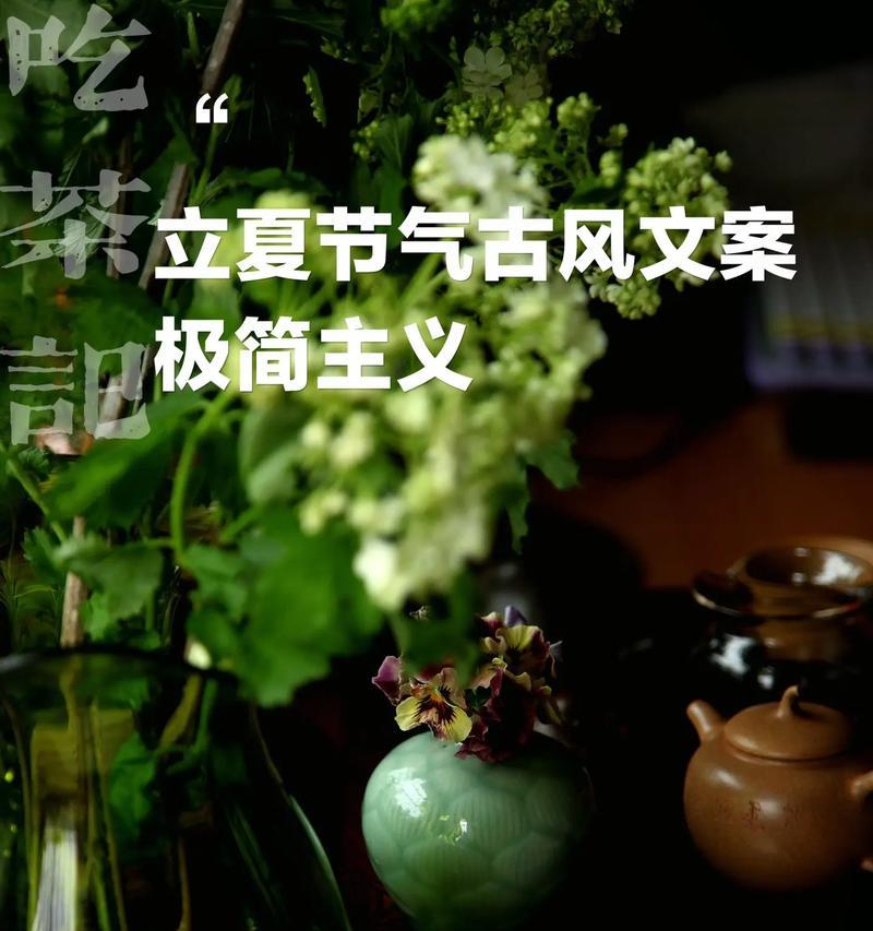 夏天立夏文案短句好句有哪些？（《立夏之际，碧荷承露》）