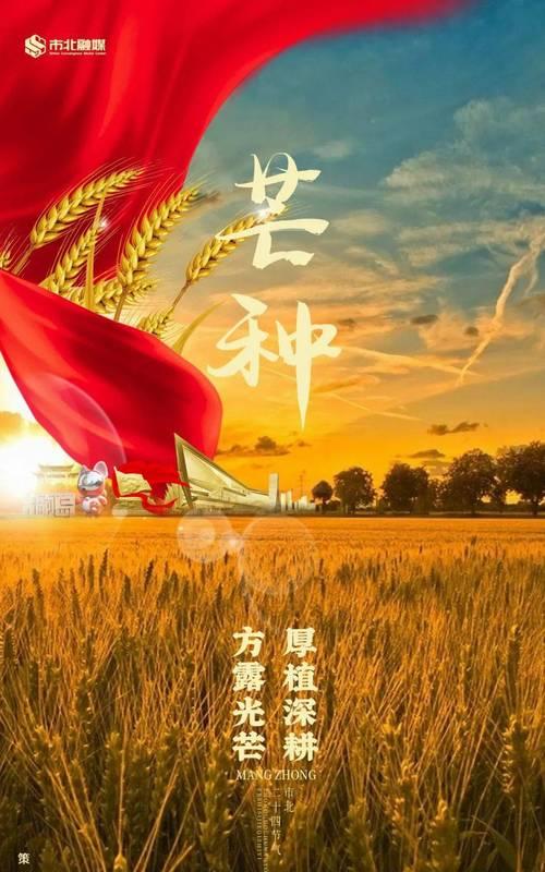 有关点赞芒种的句子的句子摘抄（《芒种赞歌：碧叶翻风，粒粒皆辛苦》）
