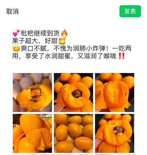 有关儿童节枇杷文案短句的句子怎么写（《枇杷香里说丰年——童趣诗意古风篇章》）