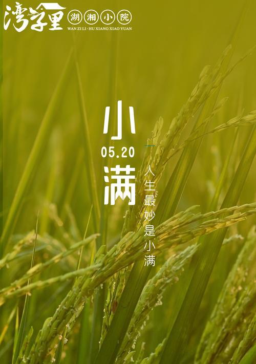 小满幸福的句子好句有哪些？（《满家春光：和风细雨话团圆》）