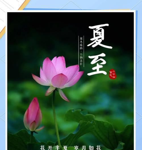 夏至祝福语有哪些？（《夏至风来翠竹凉，愿君安好乐无疆》）