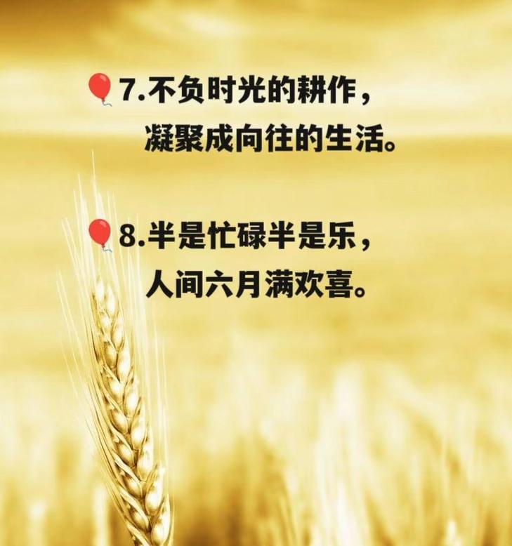关于芒种的说说简单（《芒种时节，古风盎然》）