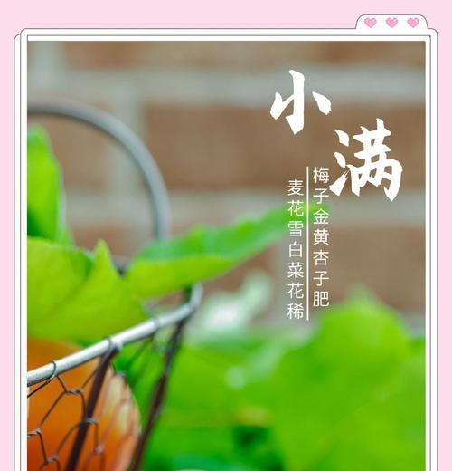小满吃什么蔬菜养生（《小满蔬菜赋：绿意盎然，古韵今香》）