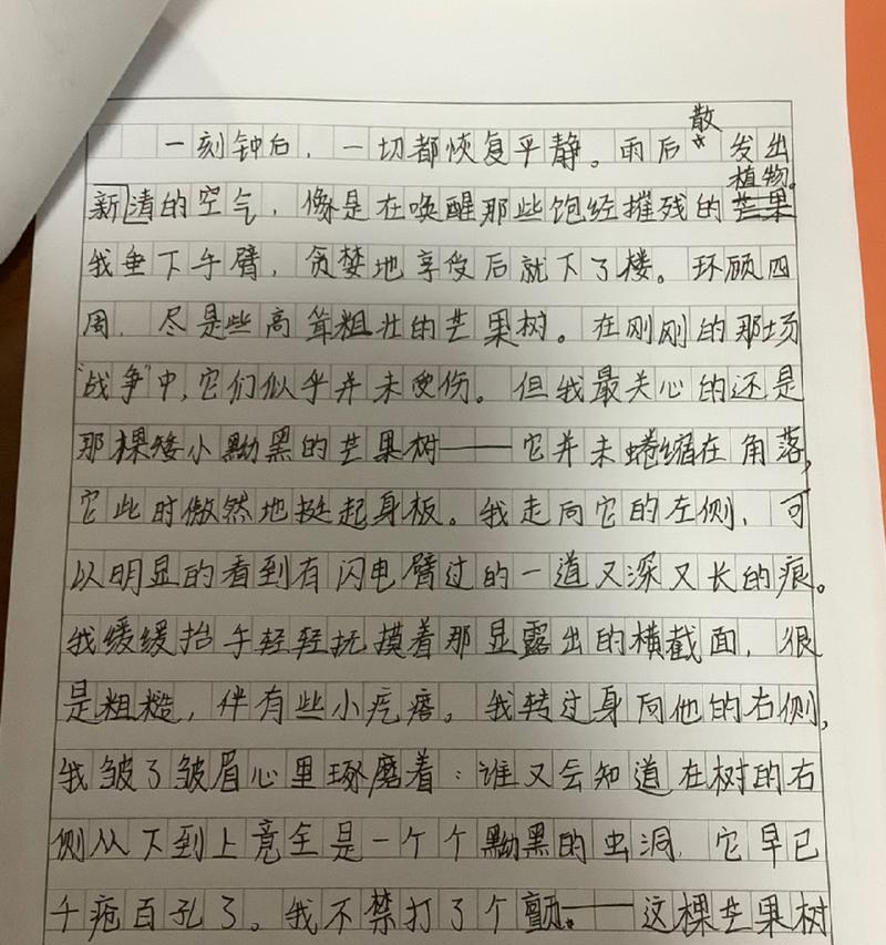 我的芒种季作文（《芒种季节的成长印记》）