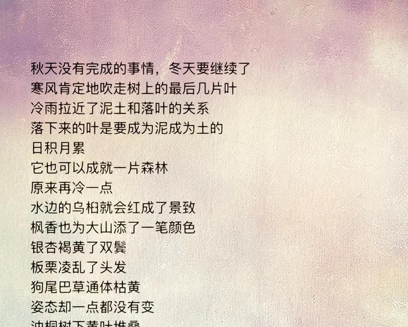 立冬的文案怎么写（《立冬的温暖与夏至的烈日——青春的光影交错》）