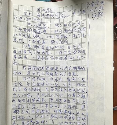 有关小满作文250字的作文怎么写（《小满时节的成长故事》）