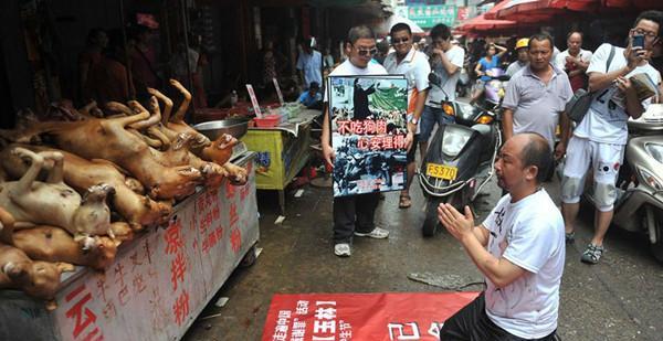 玉林狗肉节你怎么看（《夏至日的狗肉节：一段童年的记忆》）