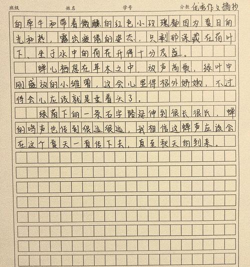 有关夏至的作文二年级的作文怎么写（《夏至里的童年趣事》）