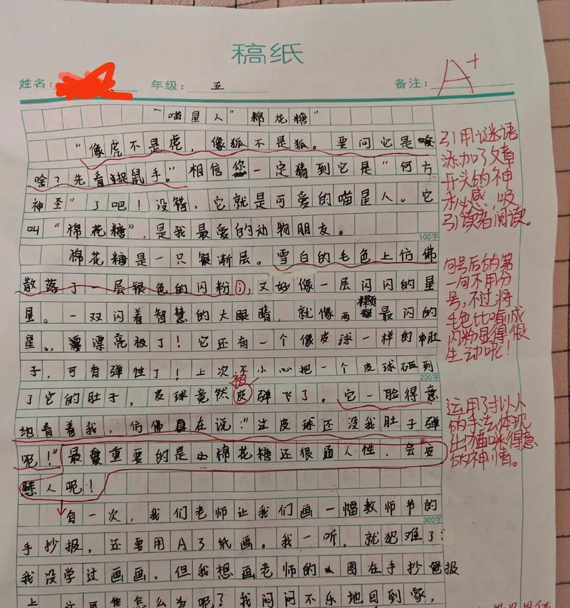 六年级芒种杯征文300字左右（《芒种时节的青春篇章》）