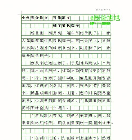有关作文我的端午节两百字的作文怎么写（《粽香飘扬在青春的记忆里》）