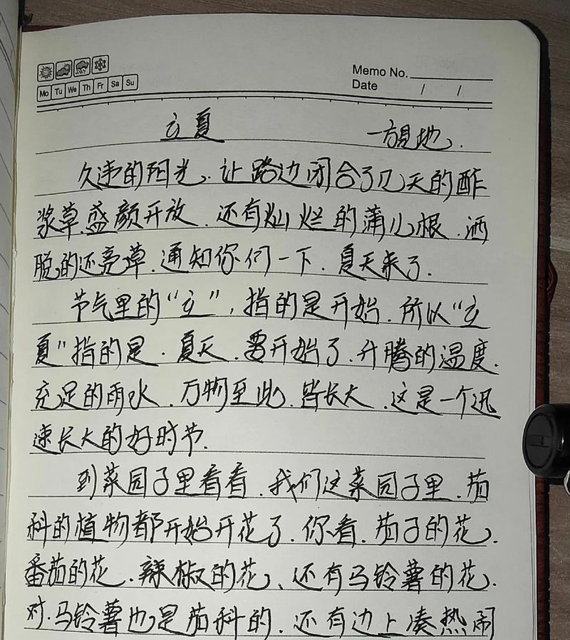 立夏斗蛋的作文提纲怎么写？（《立夏时节的蛋王之争》）