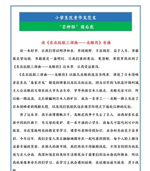 芒种杯300字（《芒种时节的智慧之芽》）