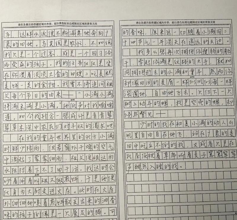 小满胜万全初中作文作文怎么写？（《逐梦路上，小满亦圆满》）