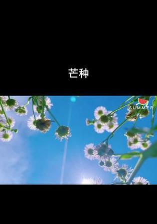 芒种已过,夏至未至是什么意思（《芒种时节的校园故事》）