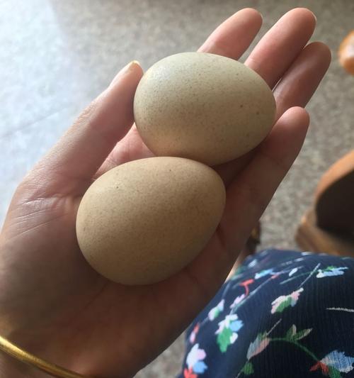 立夏撞蛋三年级作文怎么写？（《立夏时节的蛋王争霸》）