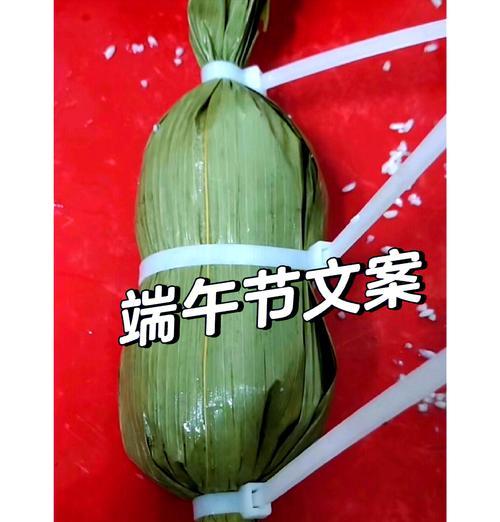 端午聚餐怎么说（《碧艾香蒲粽飘香，屈原心事共饮酌》）