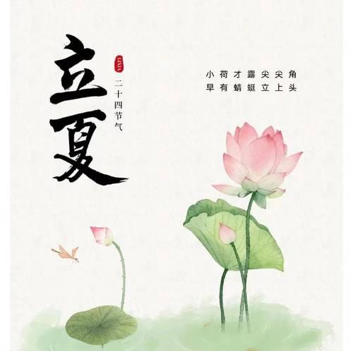 立夏节气作文怎么写？（《立夏的誓言》）