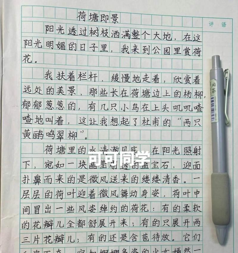 献给夏至的礼物作文作文怎么写？（《夏至之光，青春之约》）