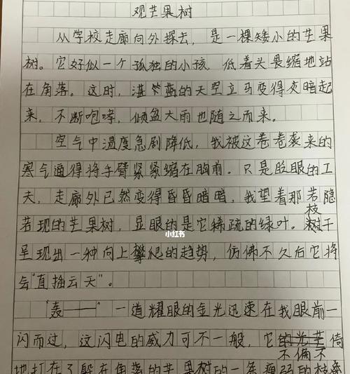 芒种小学生作文（《芒种时节，青春的对话》）