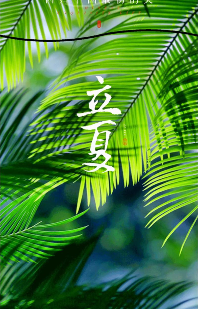 立夏的句子有哪些？（《立夏微语，粉壁生辉》）