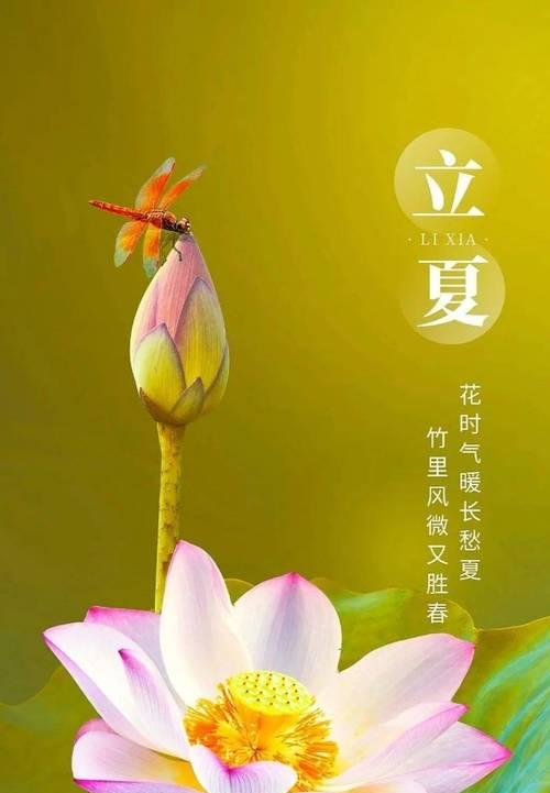 立夏祝福语给自己好句有哪些？（立夏翠影，余香盈袖）
