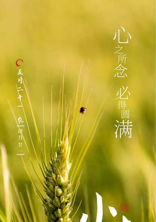 小满即安小乐即喜的意思（《小满心安：中式文化的风雅宁和》）