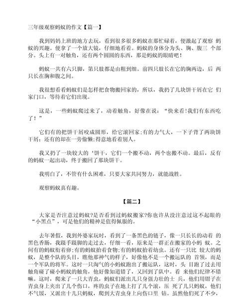 观察蚂蚁的作文怎么写?最多要400个字（《夏至时分，蚂蚁的劳作与天边的赤日》）