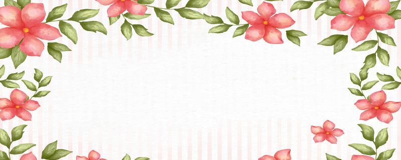 母亲节做花作文（《五月花语，我心绘母爱》）