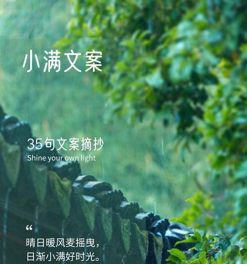 有关恰逢小满文案短句子怎么写的好句摘抄（《小满：岁时风景，心上佳篇》）