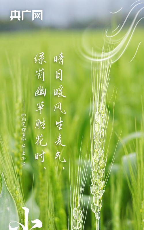初夏小满什么意思（《小满初夏，诗画无边》）